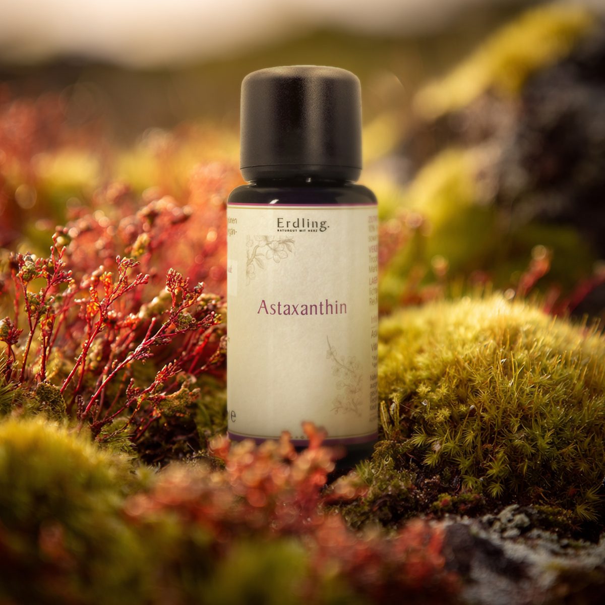 Astaxanthin aus Island - 30ml — Bild 2