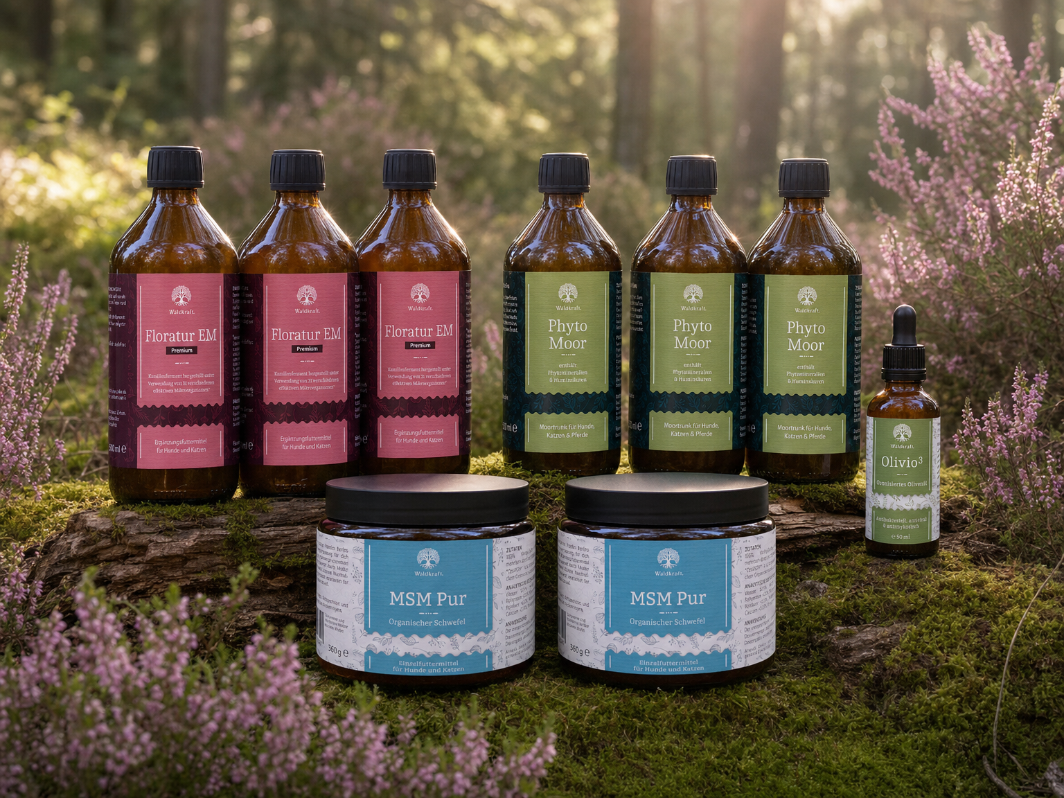 Juckreiz-Bundle für große Hunde - 3x Floratur EM Premium + 3x Phyto Moor + 2x MSM Pur + 1x Olivio³