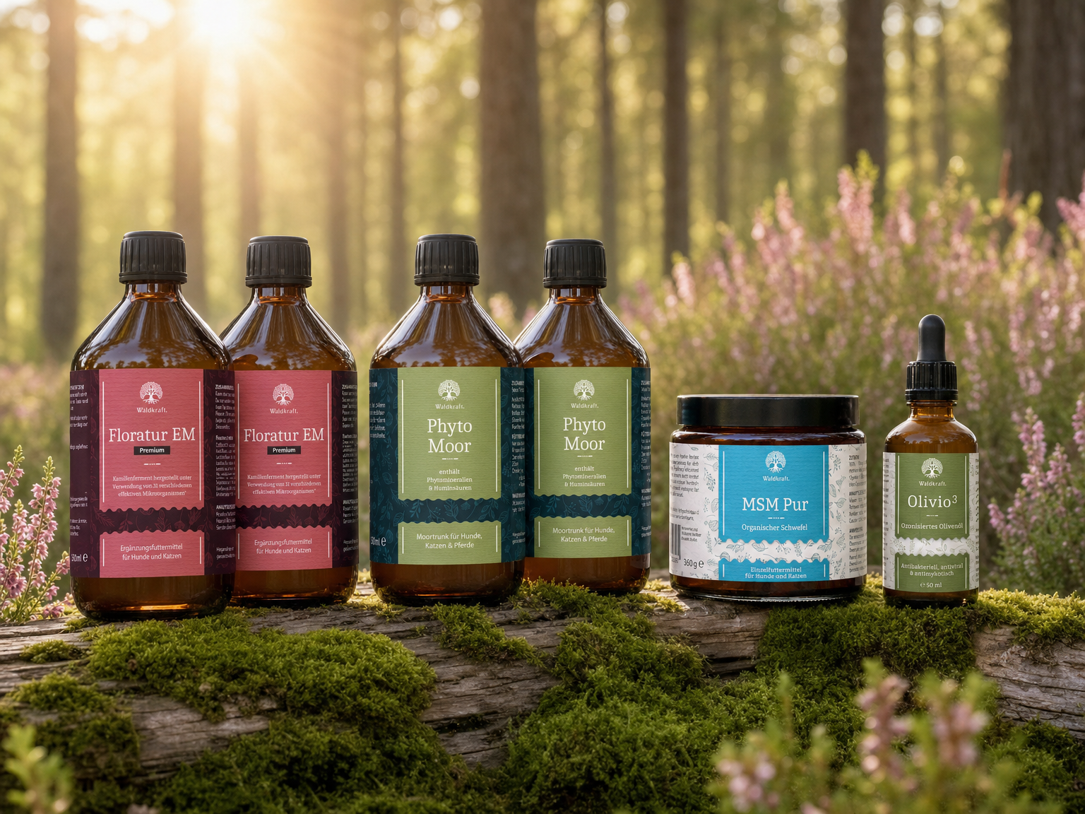 Juckreiz-Bundle für mittlere Hunde - 2x Floratur EM Premium + 2x Phyto Moor + 1x MSM Pur + 1x Olivio³