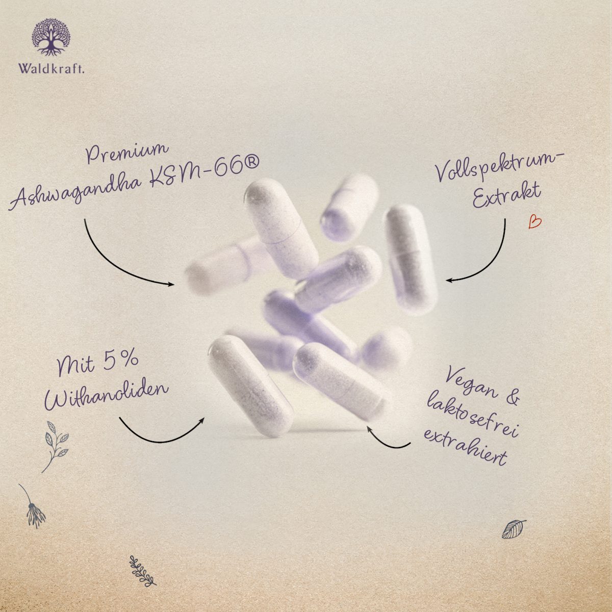 BIO Ashwagandha KSM-66® vegan - 120 Kapseln