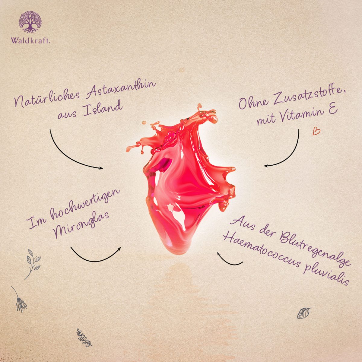 Astaxanthin aus Island