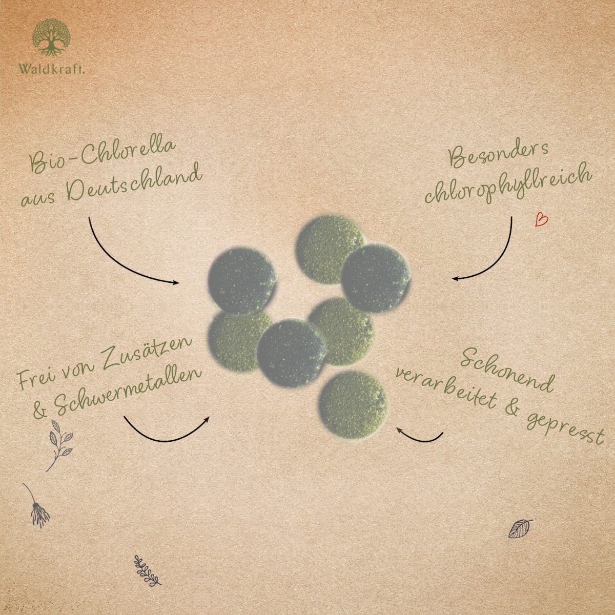 BIO Chlorella Presslinge - 220 Stück