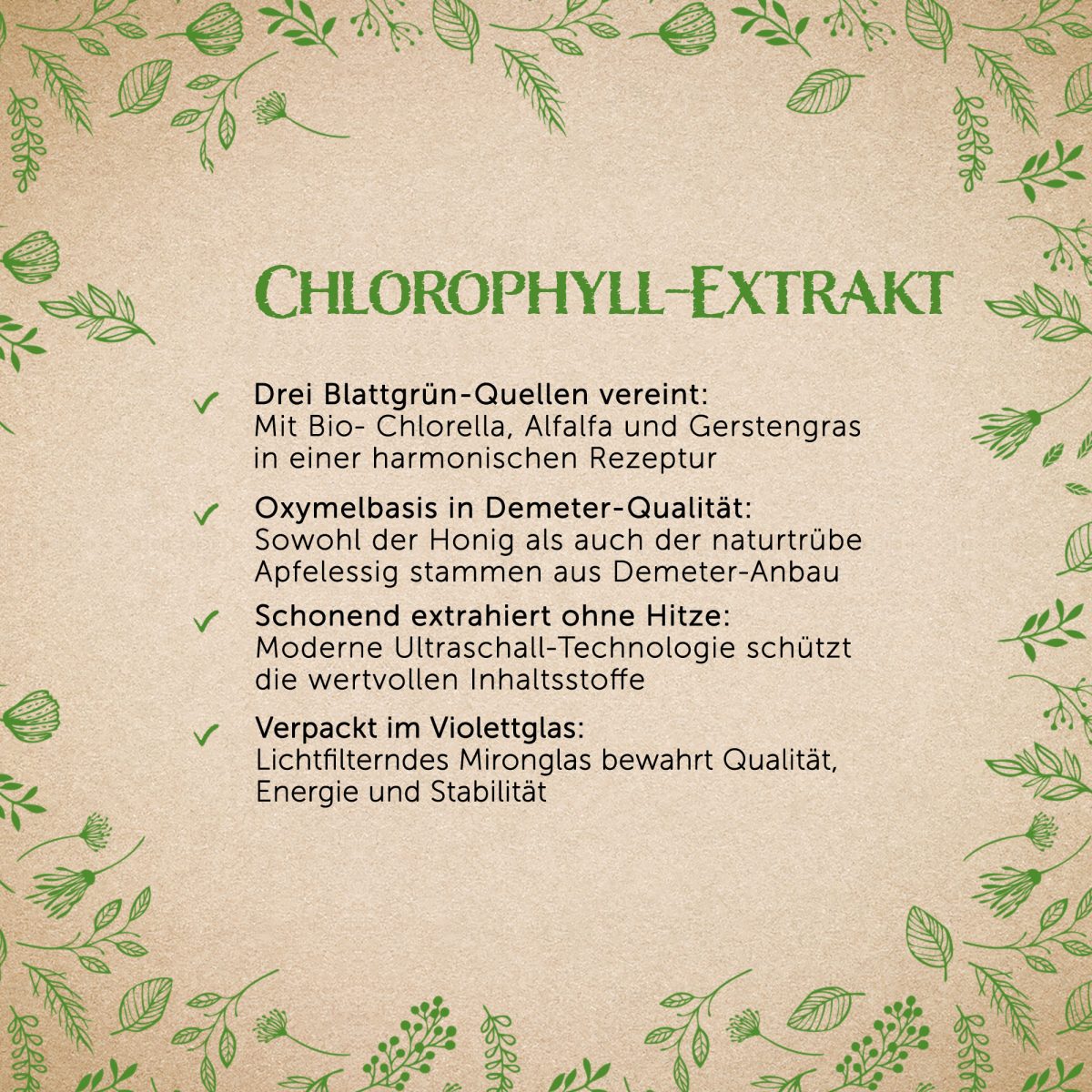 BIO Chlorophyll-Extrakt - 250ml — Bild 2