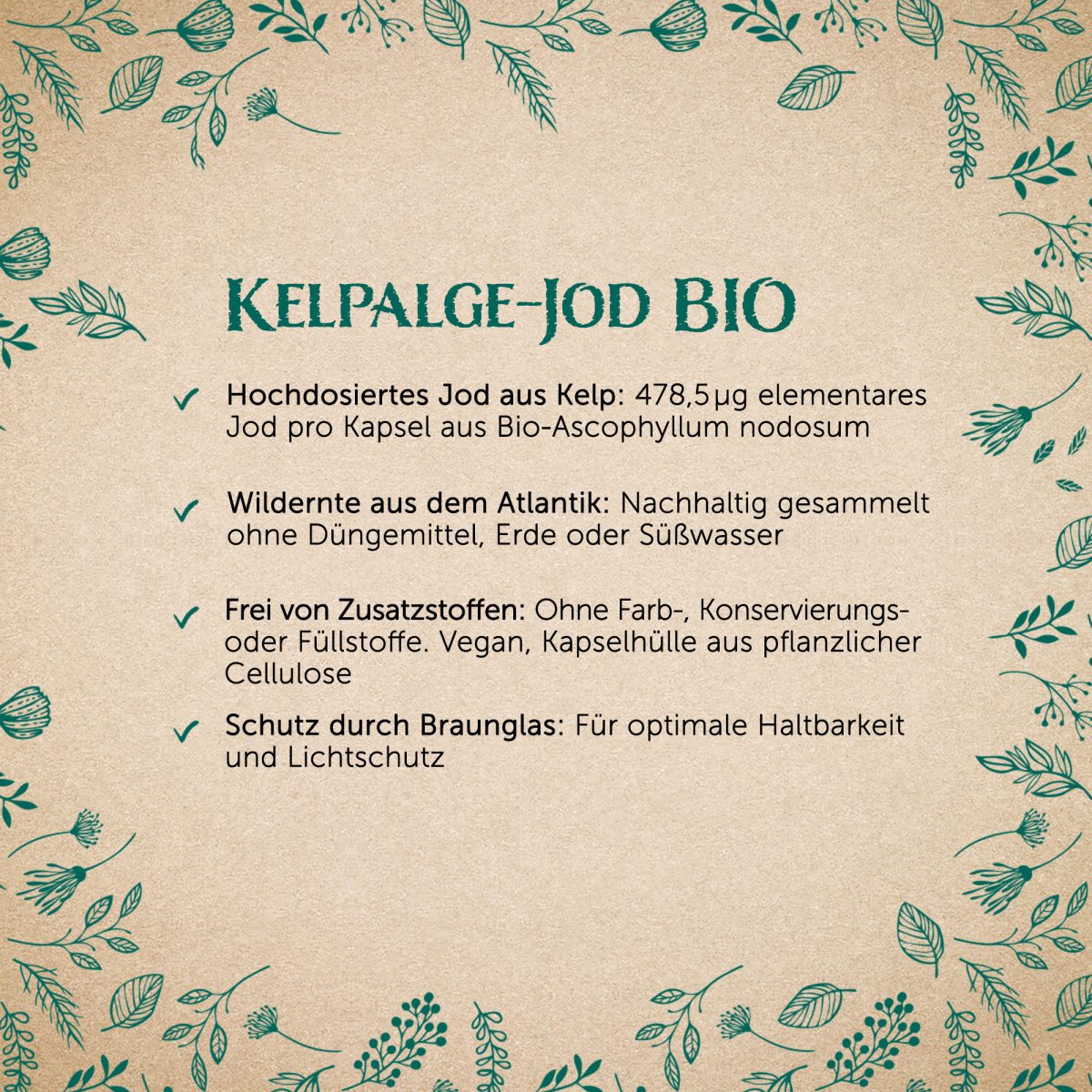 BIO Kelpalgen-Jod - 120 Kapseln — Bild 2