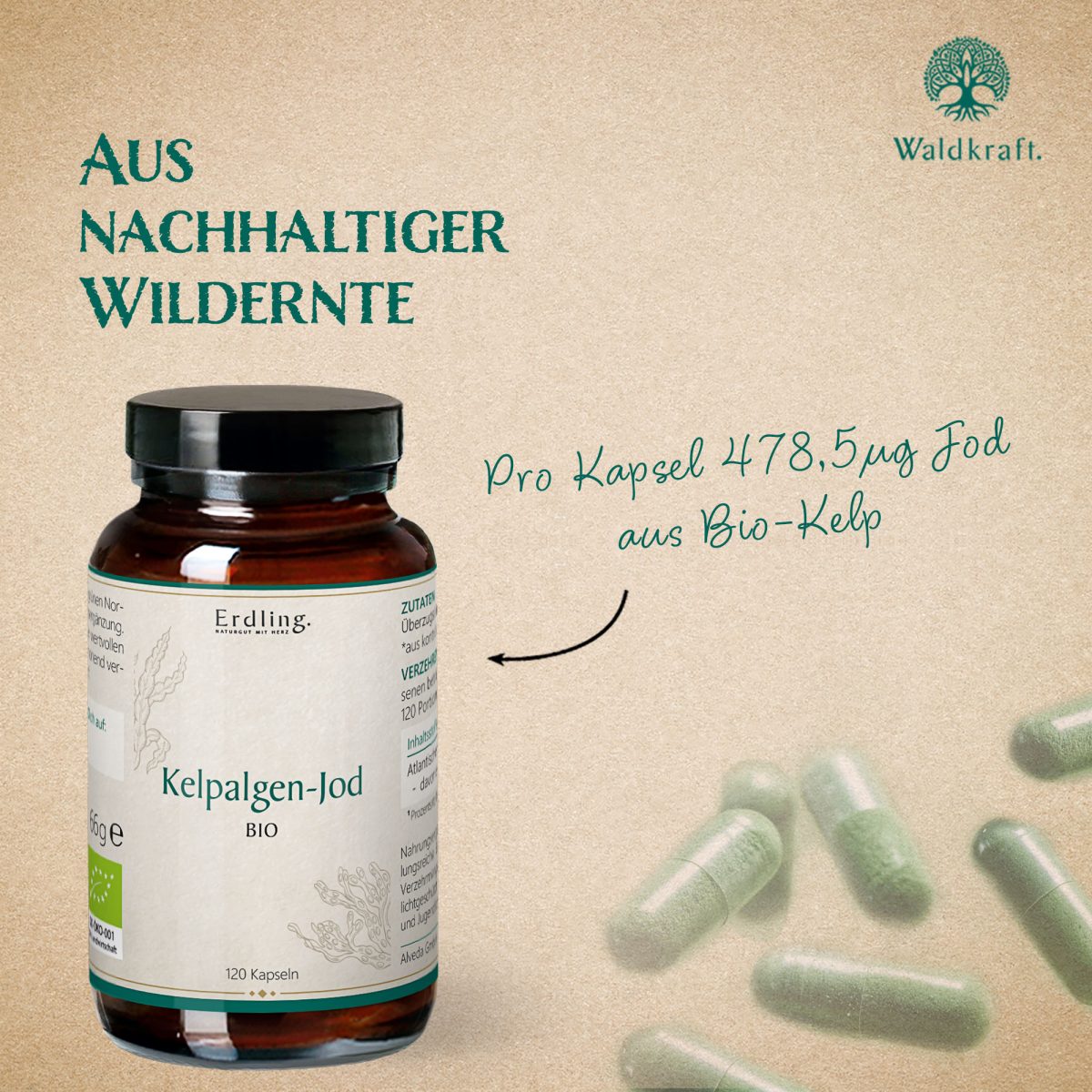 BIO Kelpalgen-Jod - 120 Kapseln — Bild 3