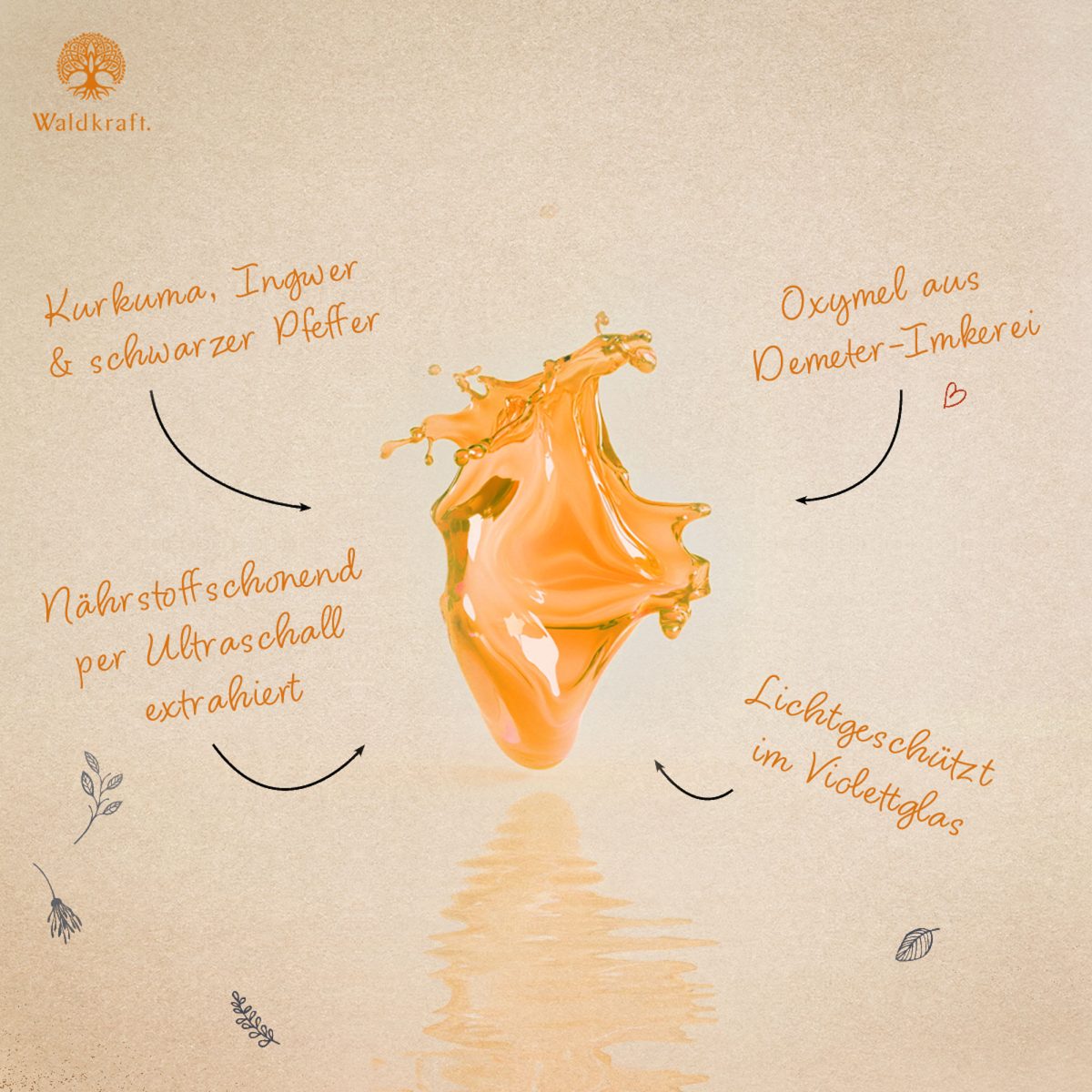BIO Kurkuma-Extrakt mit Gingerol und Piperin in Oxymel - 250ml
