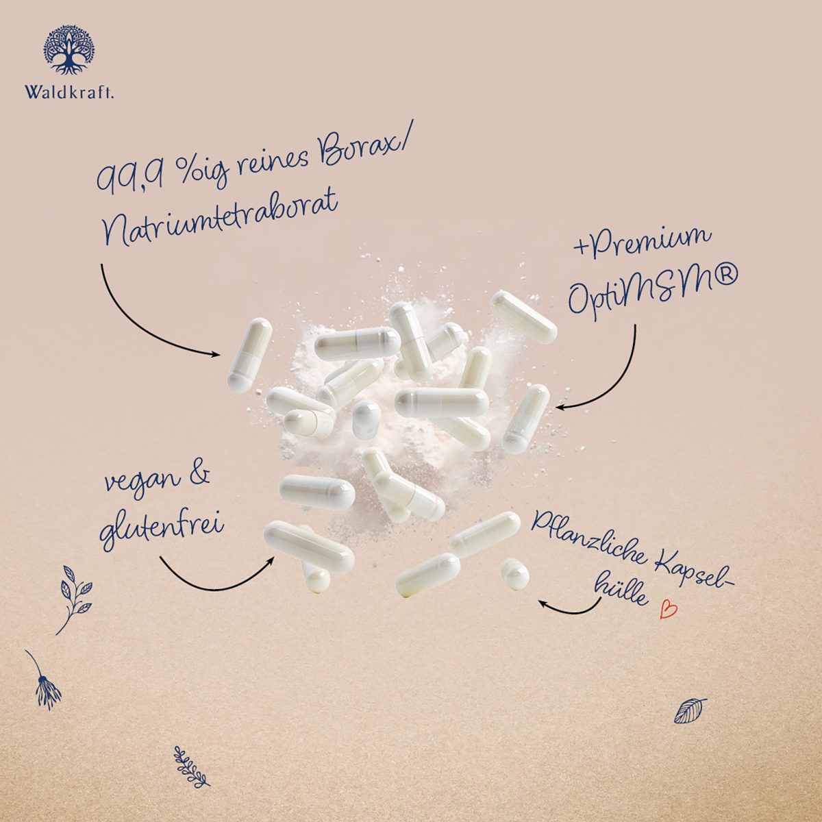 Borax Original - 99,9% Reinheit - OptiMSM® + Natriumtetraborat - 120 Kapseln