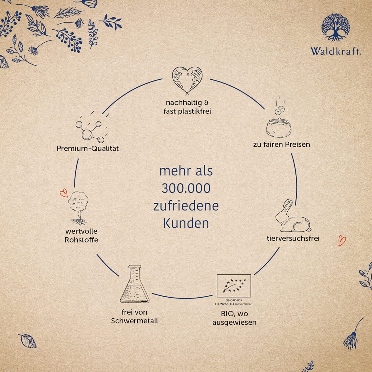 Borax Original - 99,9% Reinheit - OptiMSM® + Natriumtetraborat - 120 Kapseln — Bild 5