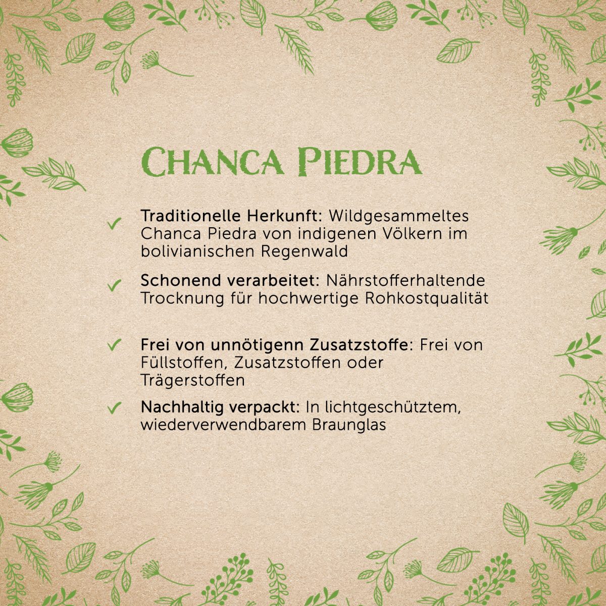 Chanca Piedra Pulver - Tiegel 150g — Bild 2