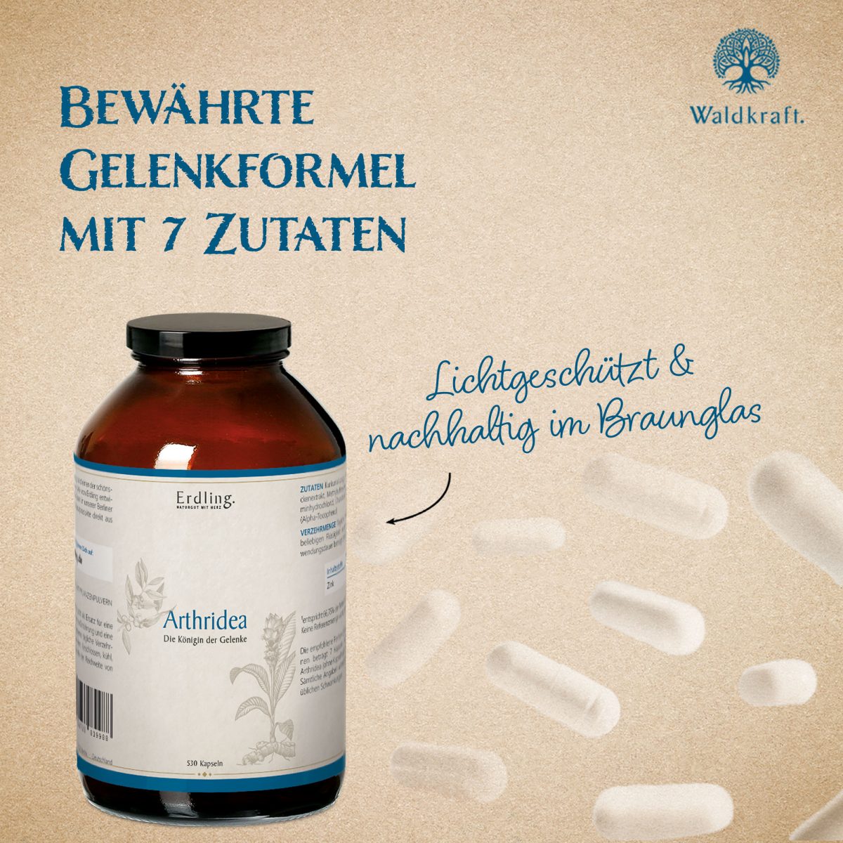 Arthridea Kapseln - 530 Kapseln — Bild 3