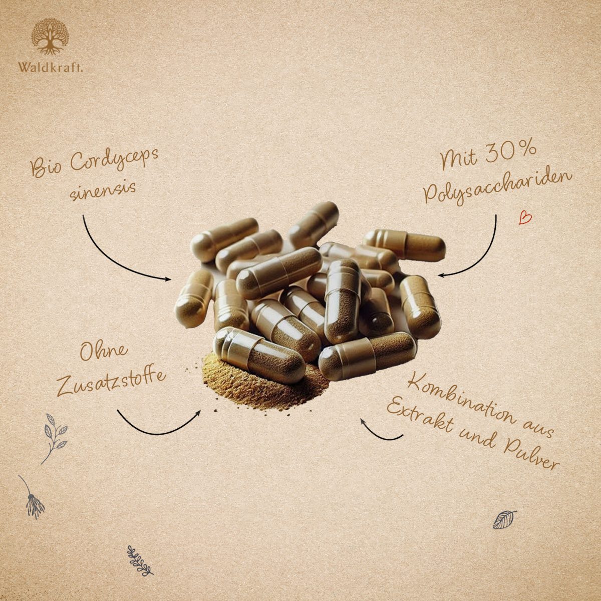 BIO Kraftpilz Cordyceps - Vitalpilz - 120 Kapseln