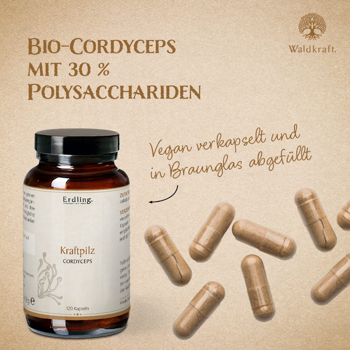 BIO Kraftpilz Cordyceps - Vitalpilz - 120 Kapseln — Bild 3