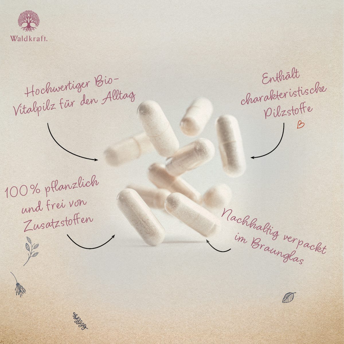 BIO Kraftpilz Hericium - Vitalpilz - 120 Kapseln