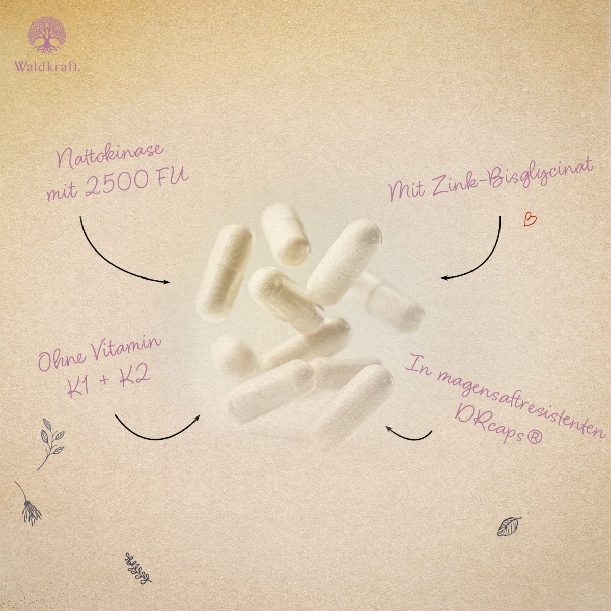 Nattokinase - Komplex 2000 FU - 120 DR Kapseln