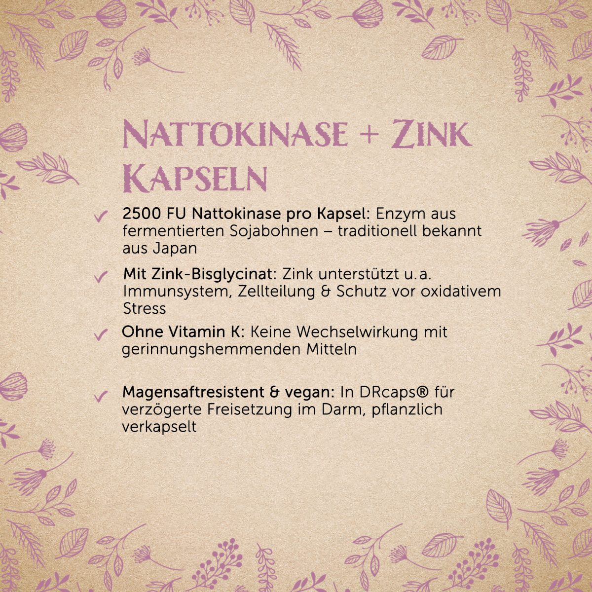 Nattokinase - Komplex 2000 FU - 120 DR Kapseln — Bild 2