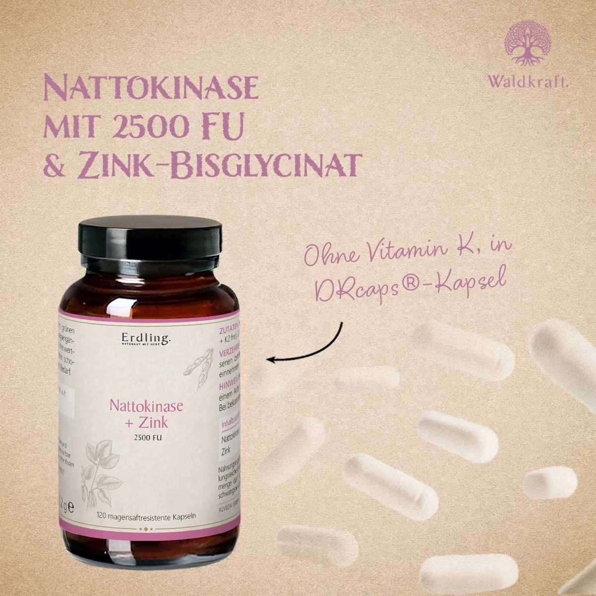 Nattokinase - Komplex 2000 FU - 120 DR Kapseln — Bild 3