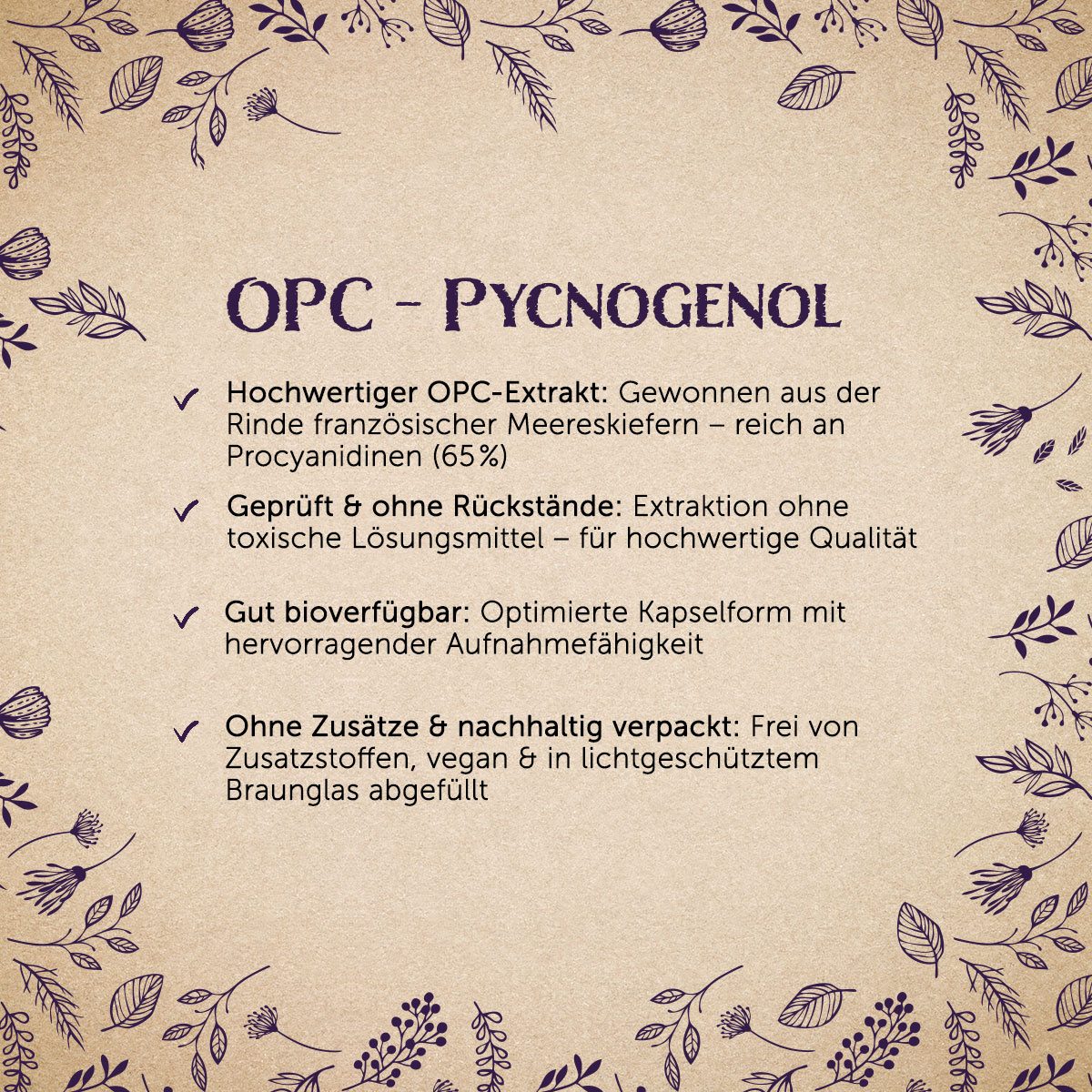 OPC Pycnogenol® - 60 Kapseln — Bild 2