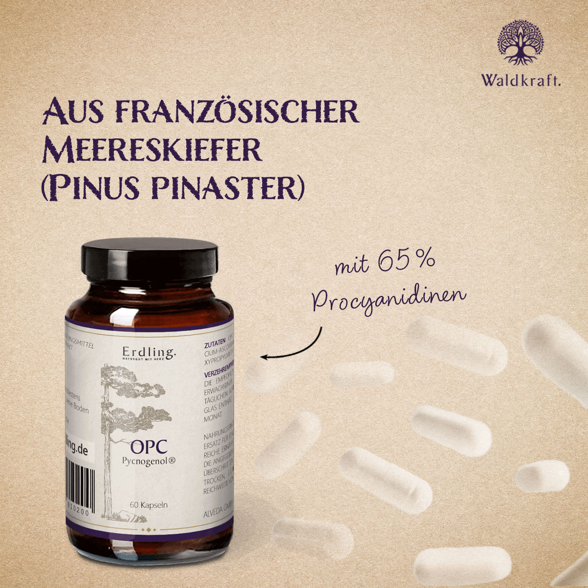 OPC Pycnogenol® - 60 Kapseln — Bild 3