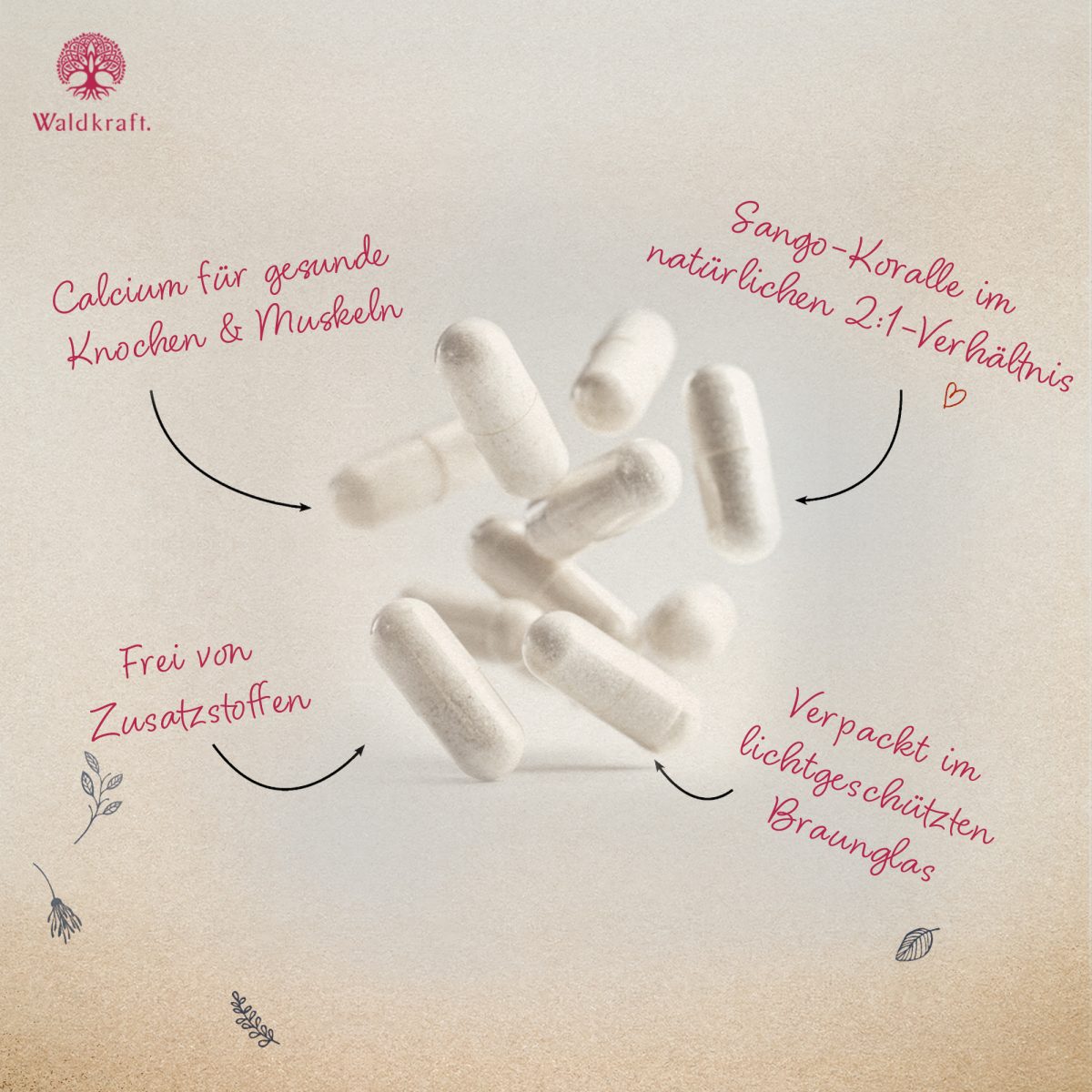 Sango-Koralle - Ideale Quelle von Calcium & Magnesium - 120 Kapseln
