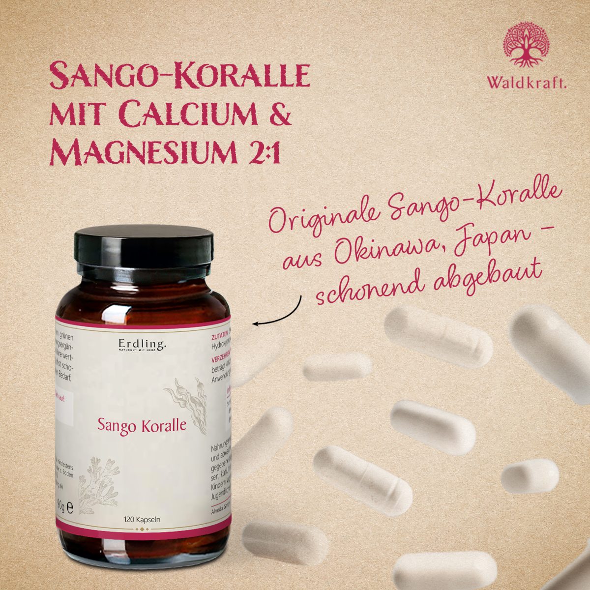 Sango-Koralle - Ideale Quelle von Calcium & Magnesium - 120 Kapseln — Bild 3