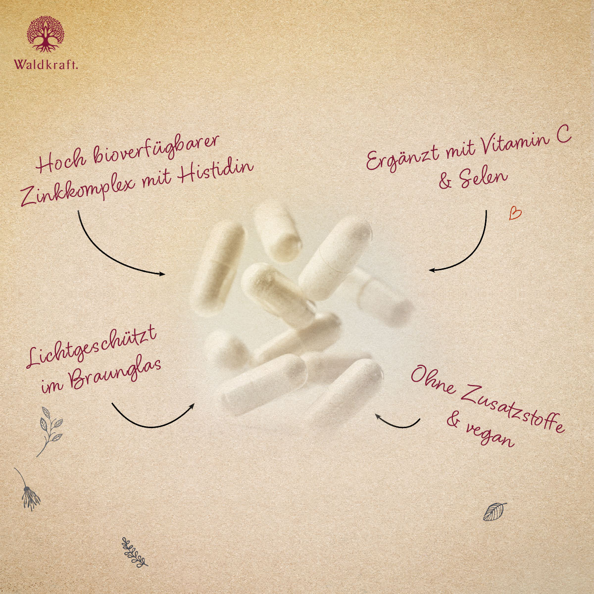 Zink-Histidin Komplex - 120 Kapseln