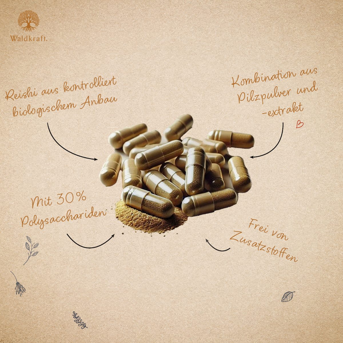 BIO Kraftpilz Reishi - Vitalpilz  - 120 Kapseln