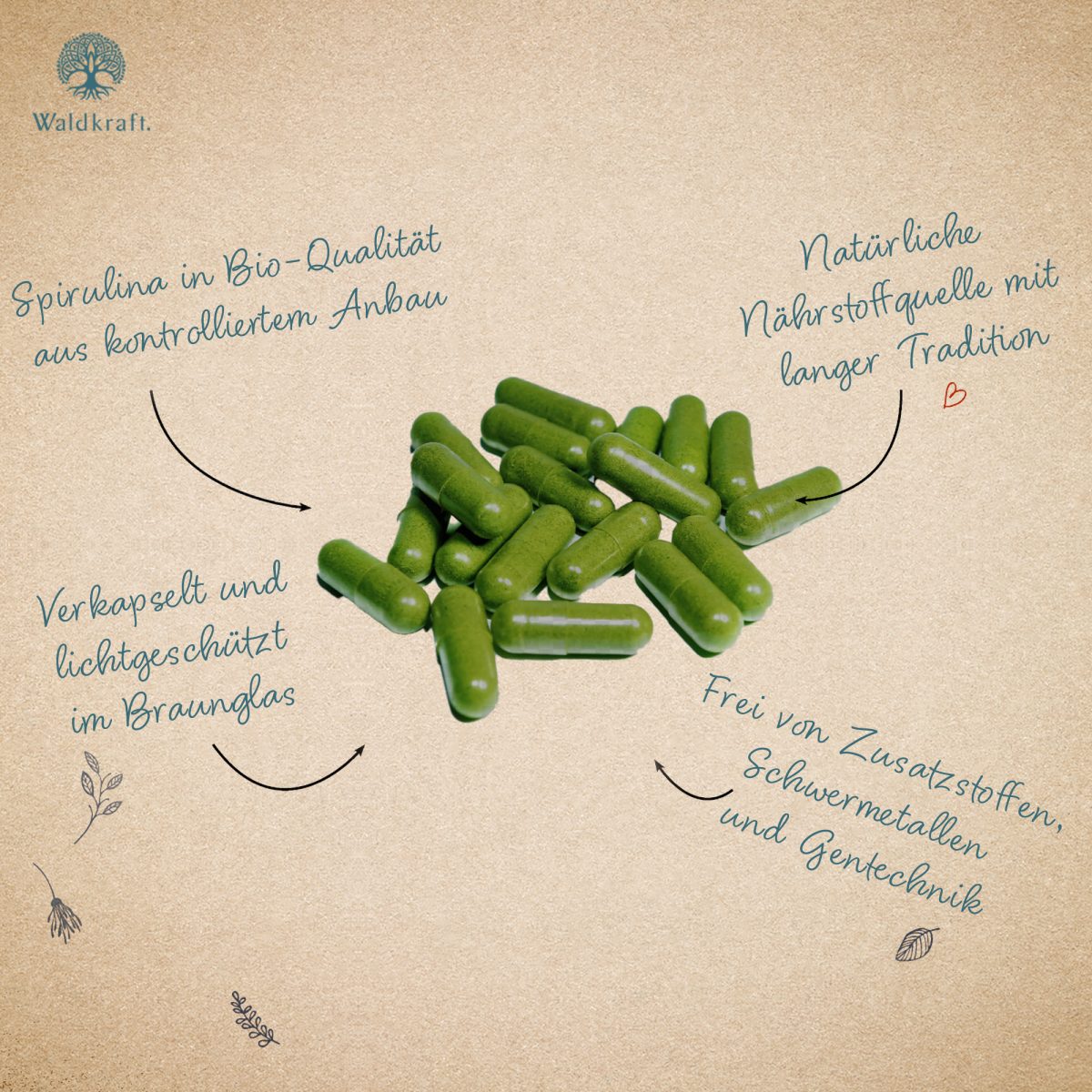 BIO Spirulina - 120 Kapseln