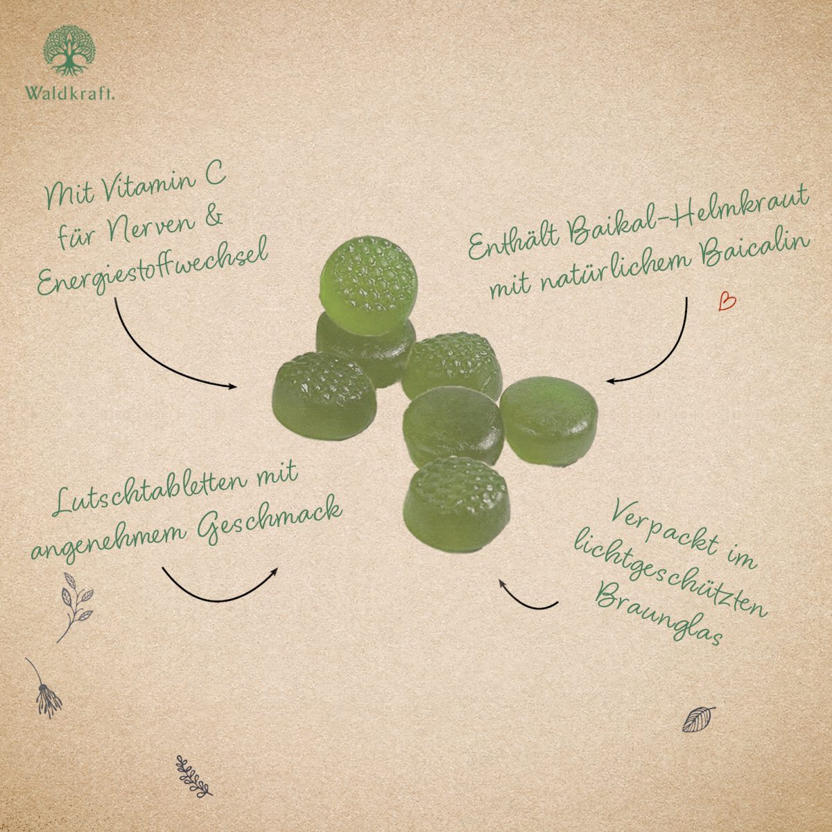 Baikal-Helmkraut Drops - 60 Stück