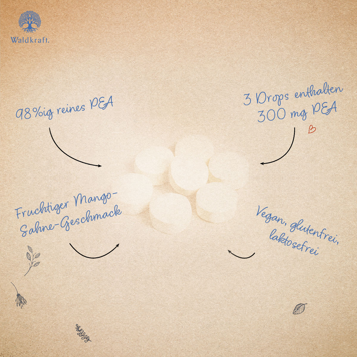 PEA - Palmitoylethanolamid Drops - 56 Stück