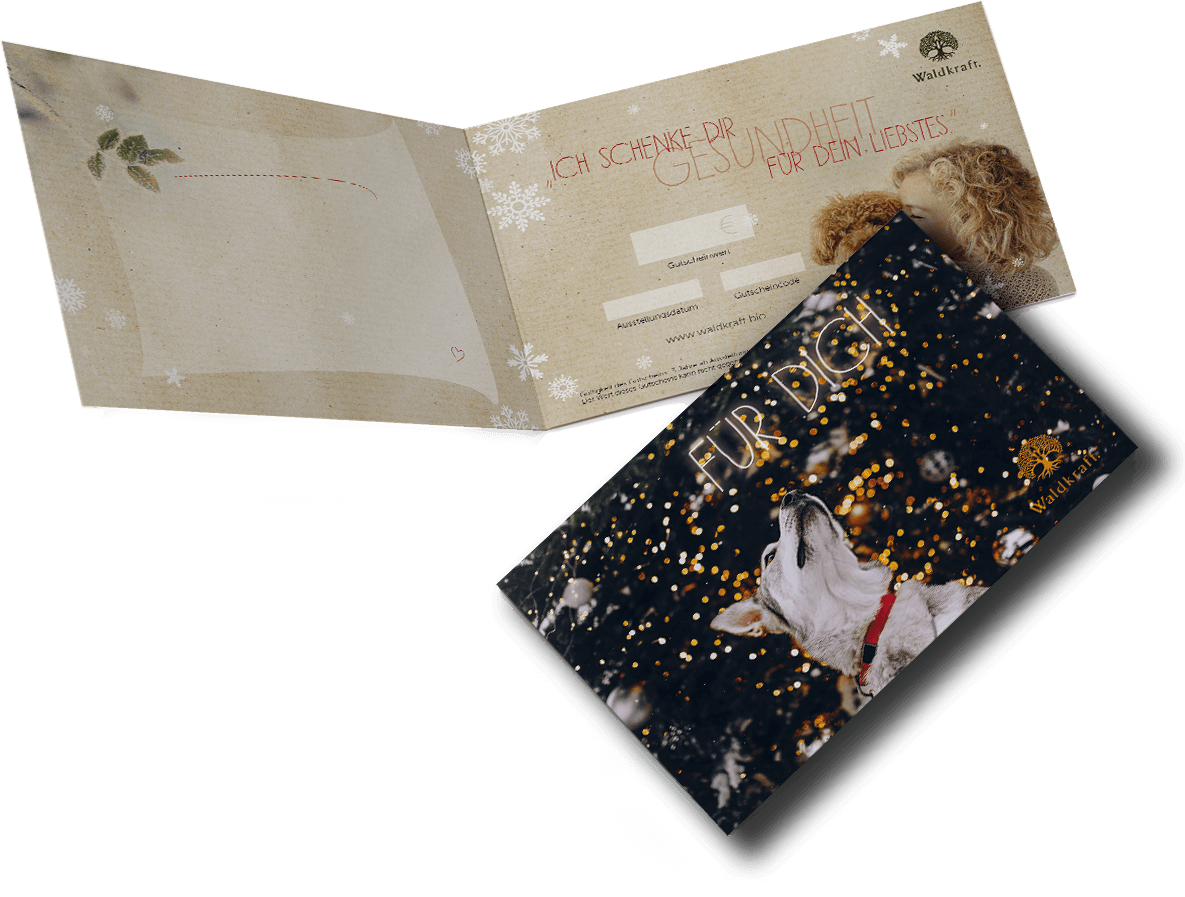 Der besondere Geschenkgutschein 150 € Weihnacht Hund unter Schneeflocken (Für Dich) — Bild 2