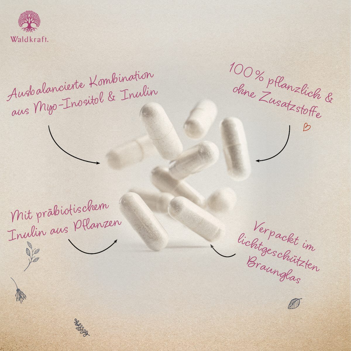Myo-Inositol + Inulin - 120 Kapseln