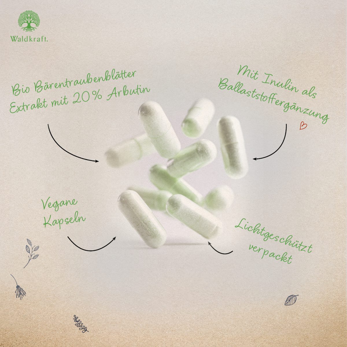 Bärentraubenblätter-Extrakt + Inulin - 120 Kapseln