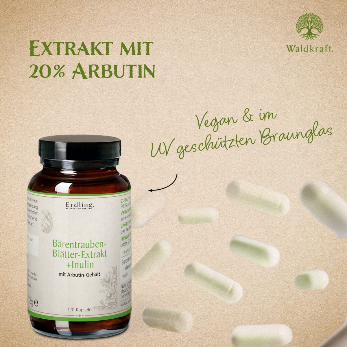 Bärentraubenblätter-Extrakt + Inulin - 120 Kapseln — Bild 3