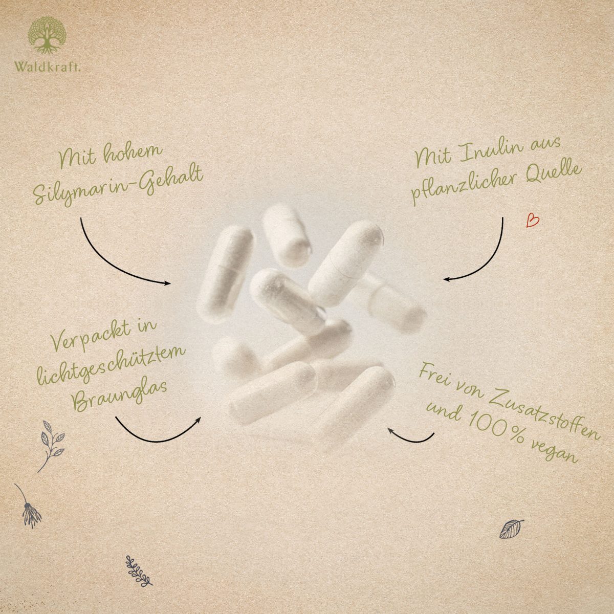 Mariendistel-Extrakt + Inulin - 120 Kapseln