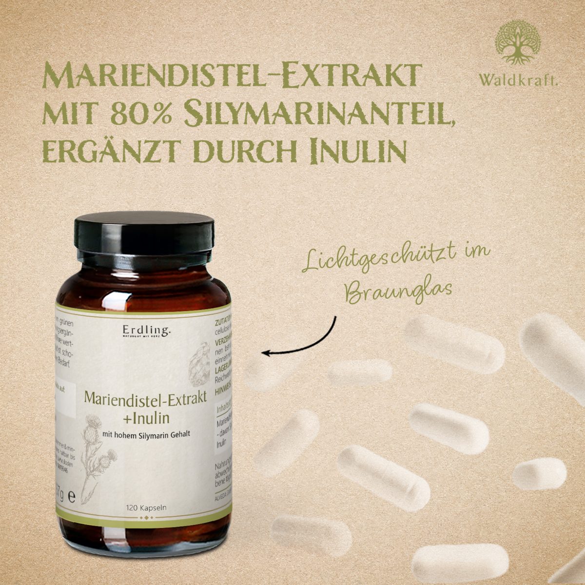 Mariendistel-Extrakt + Inulin - 120 Kapseln — Bild 3
