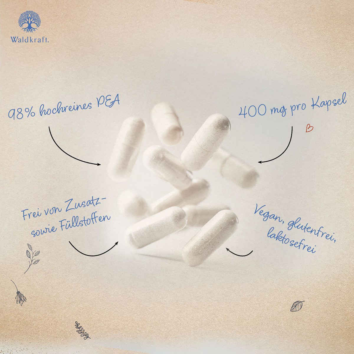 PEA - Palmitoylethanolamid - 120 Kapseln (400mg)