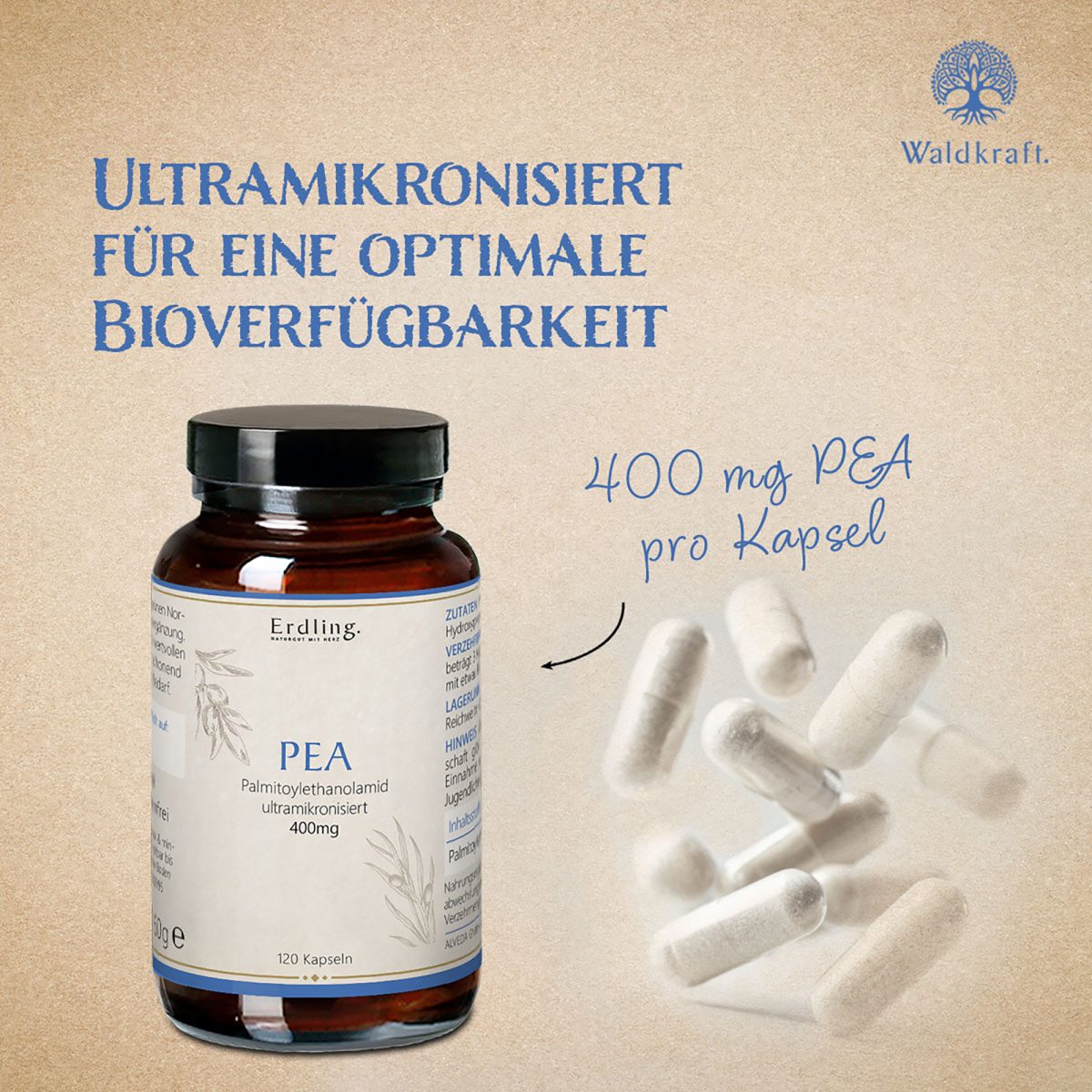 PEA - Palmitoylethanolamid - 120 Kapseln (400mg) — Bild 3