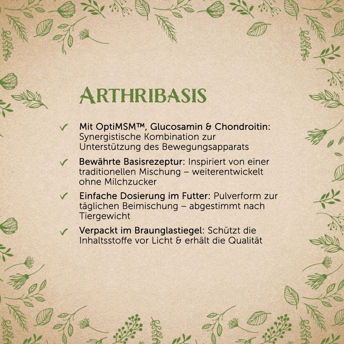 Arthribasis - Natürliche Gelenkunterstützung — Bild 2