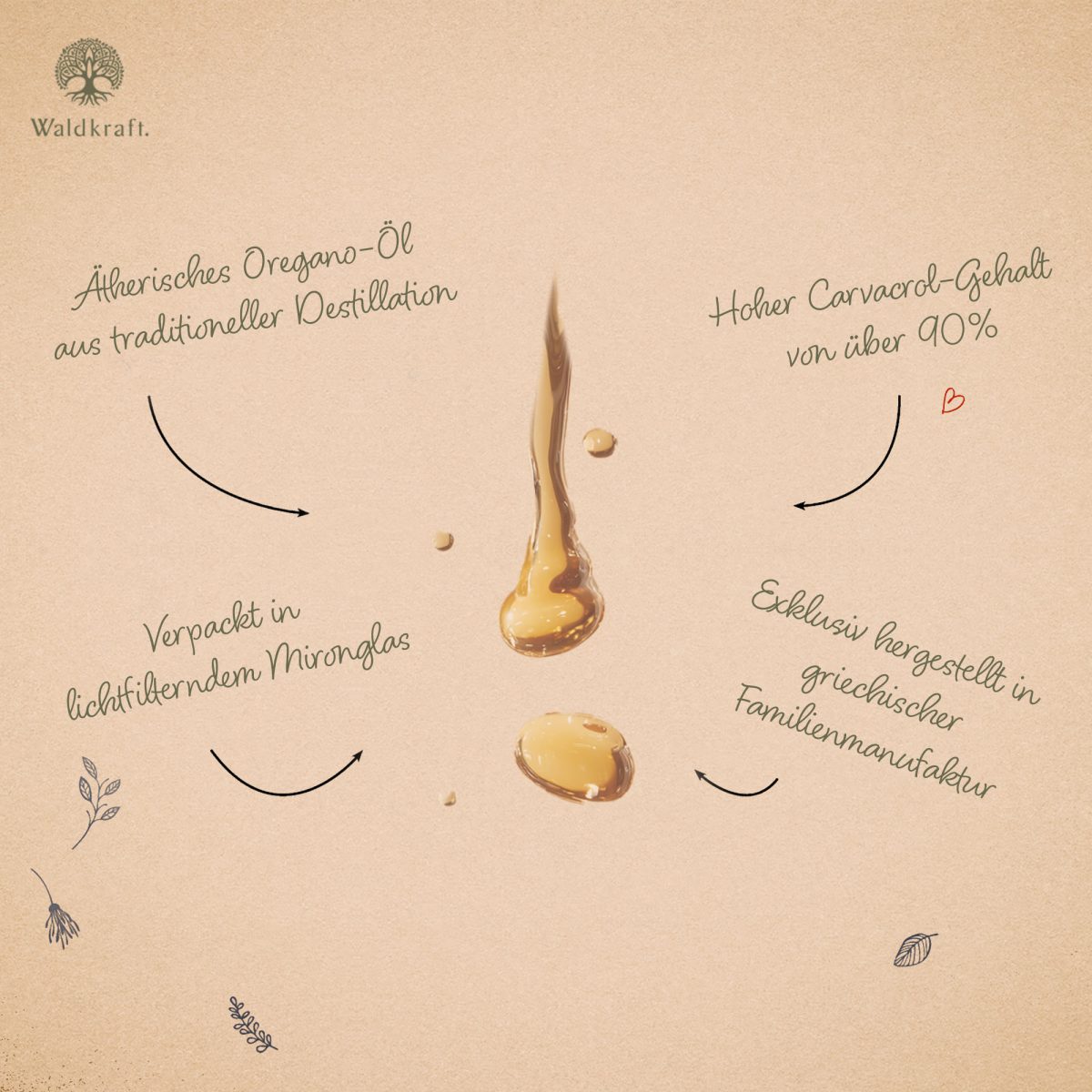 Ätherisches Oregano-Öl - 10ml