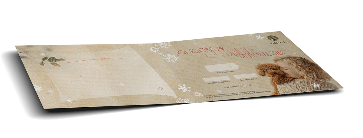 Der besondere Geschenkgutschein 10 € Weihnacht Hund unter Schneeflocken (Für Dich)