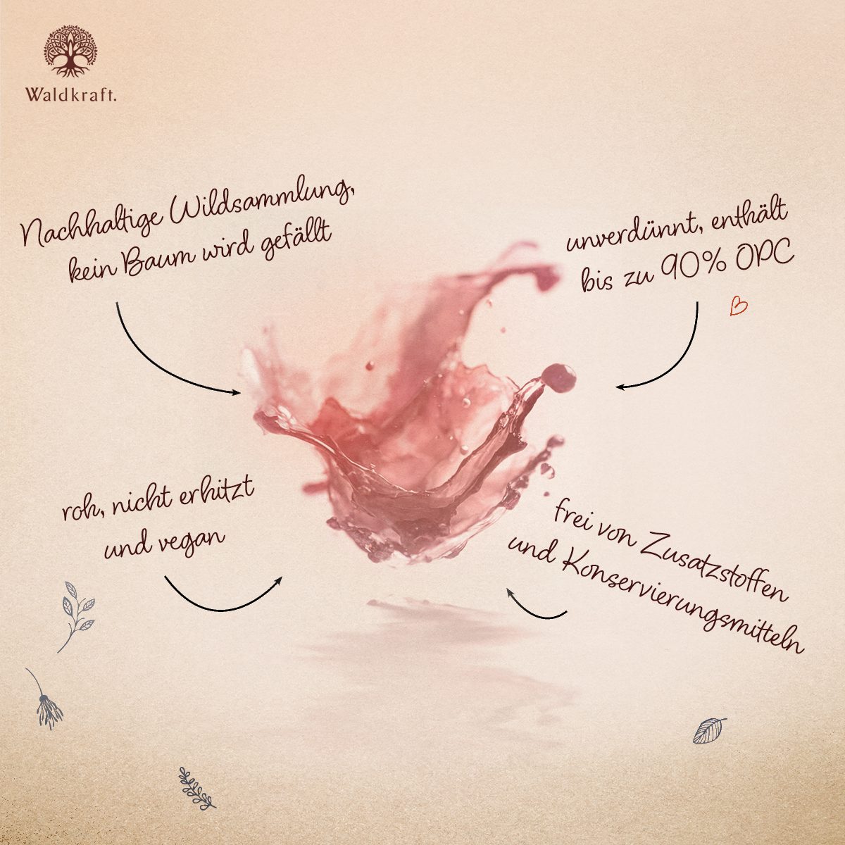 Drachenblut - Sangre de Drago