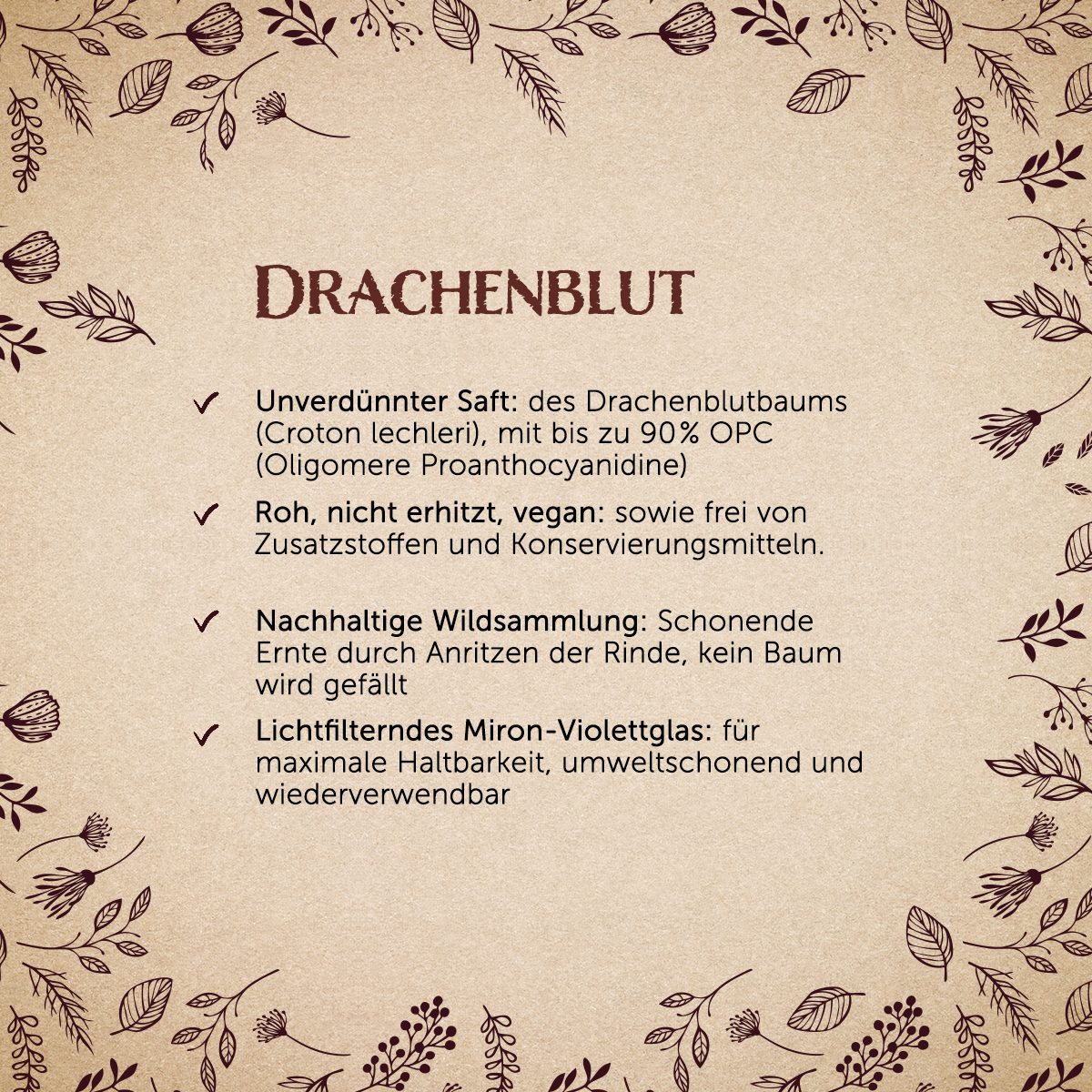 Drachenblut - Sangre de Drago — Bild 2