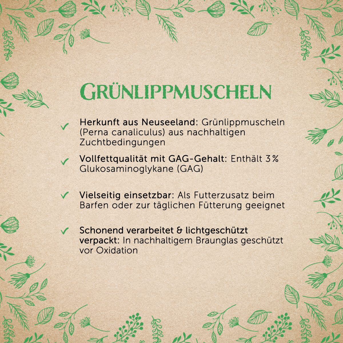Grünlippmuschelpulver - Vollfett 3% — Bild 2