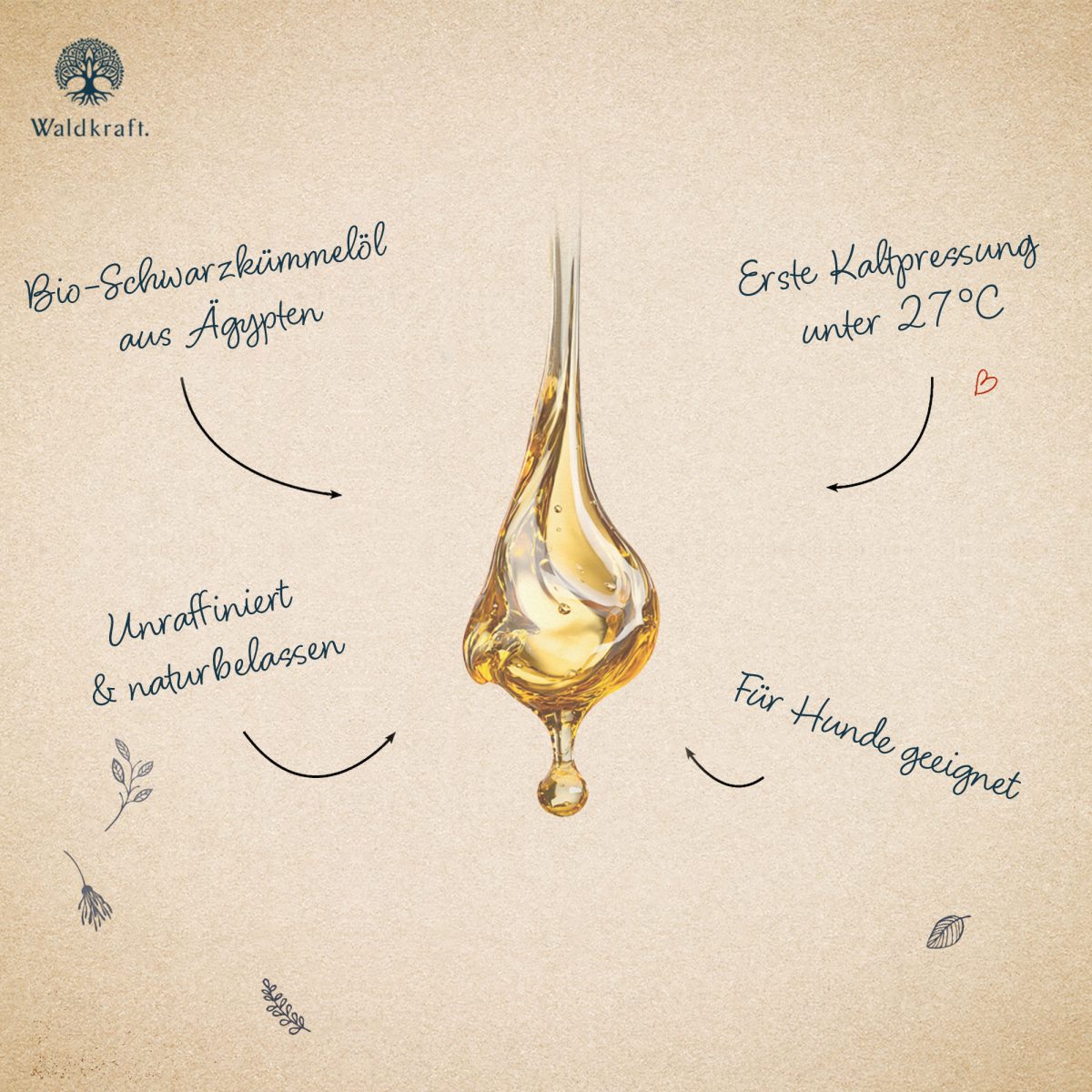 BIO Schwarzkümmelöl aus Ägypten - 1. Kaltpressung - 250ml