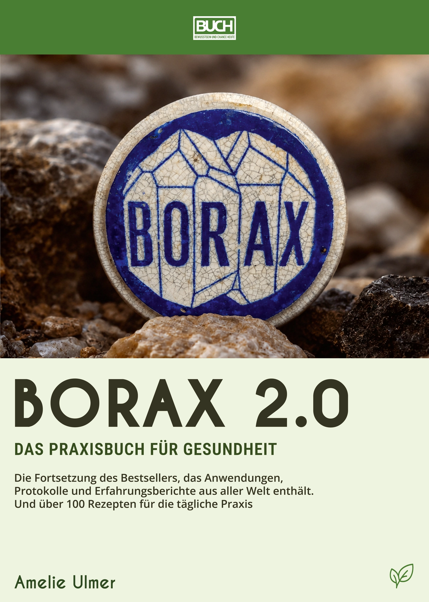 Buch: Borax 2.0 - Das Praxisbuch für Gesundheit