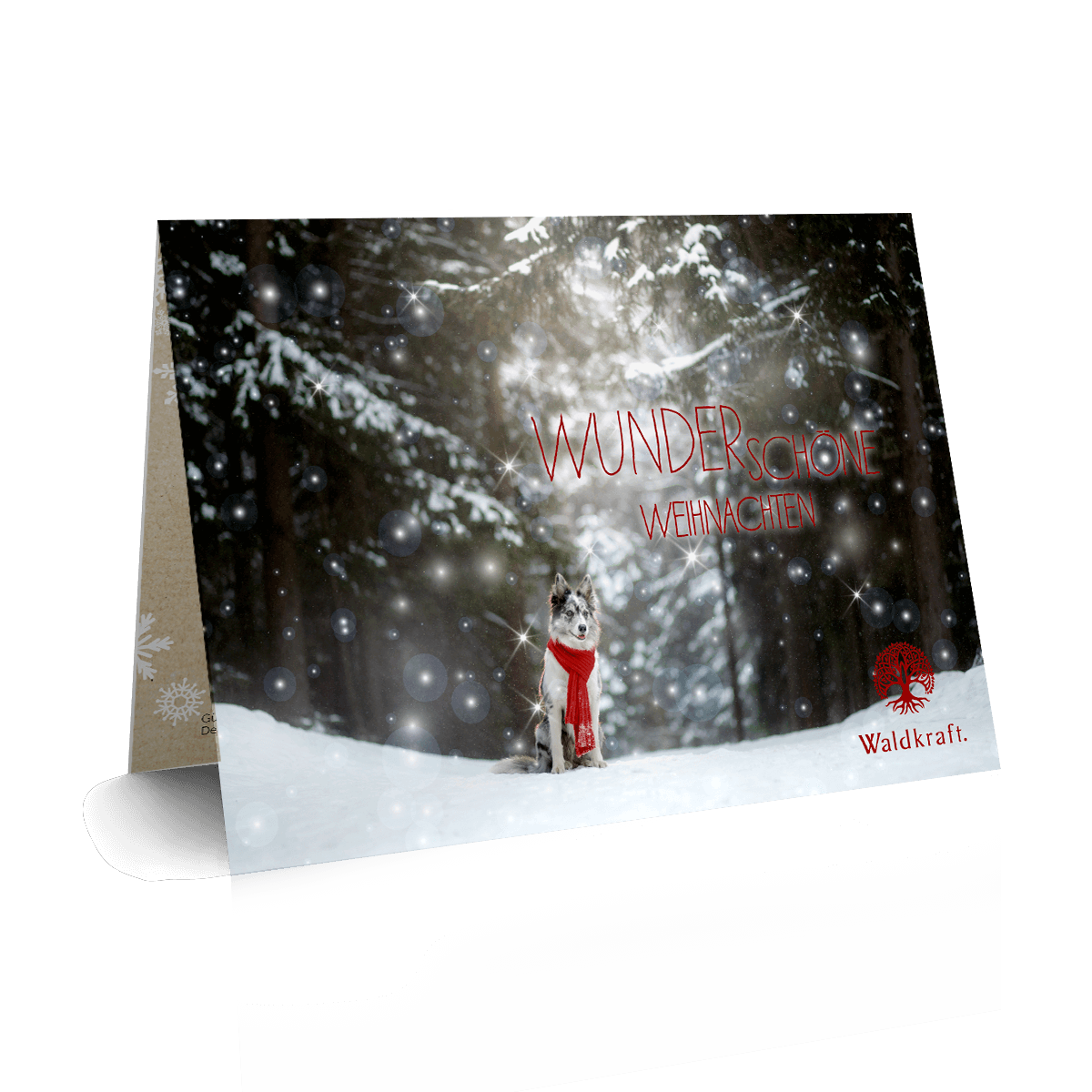 Der besondere Geschenkgutschein 10 € Weihnacht: Hund mit Schal