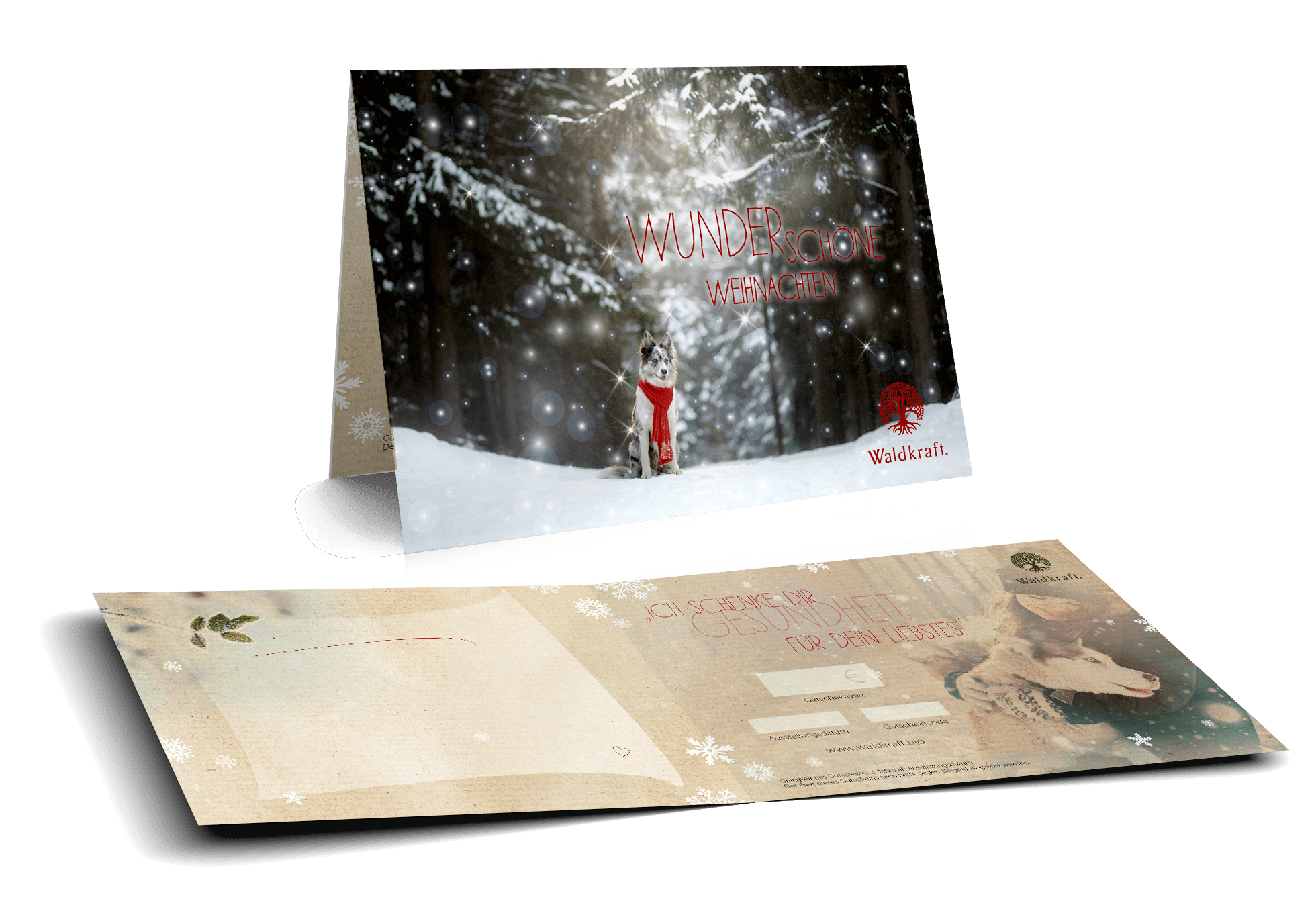 Der besondere Geschenkgutschein 10 € Weihnacht: Hund mit Schal — Bild 2