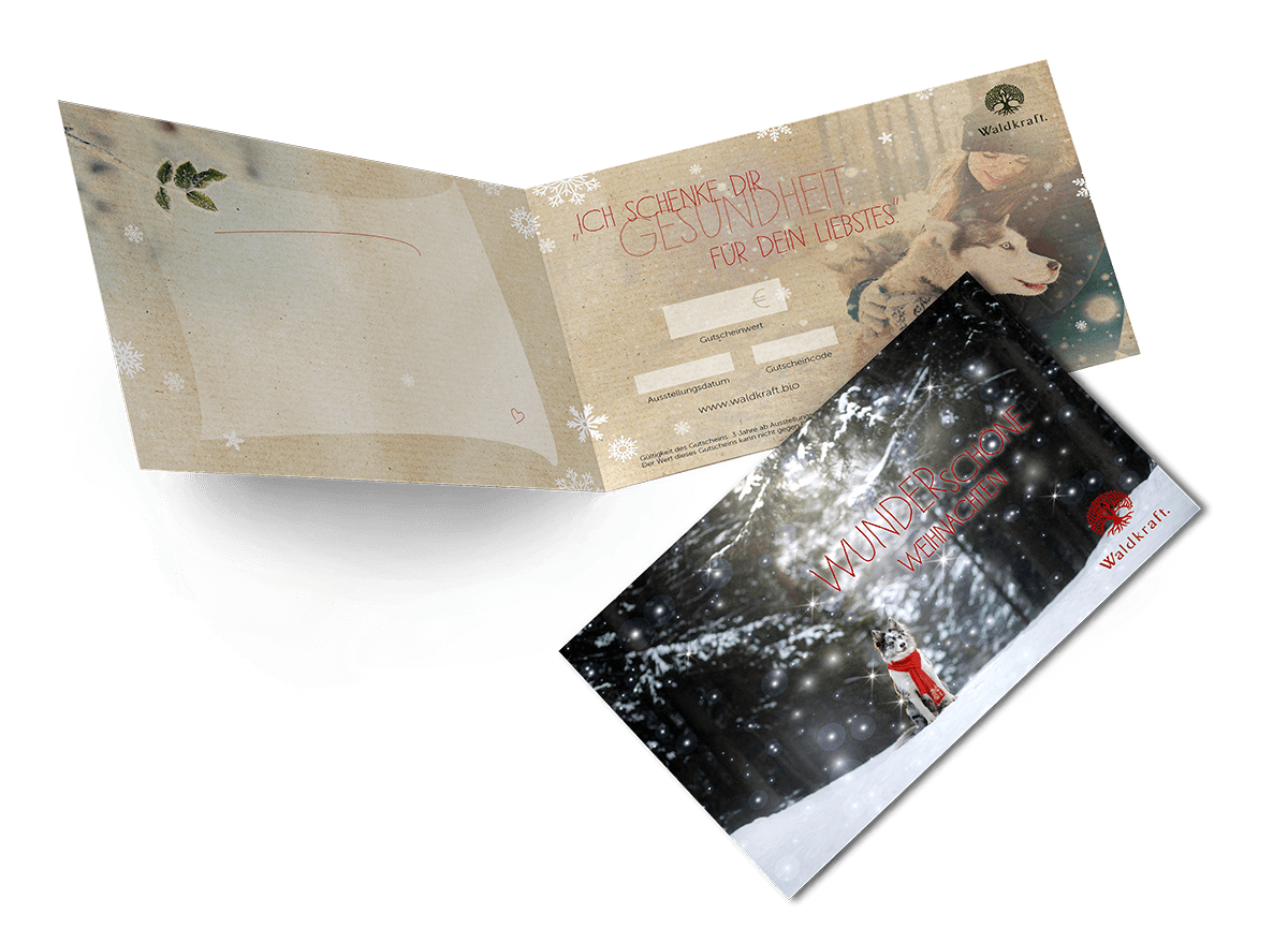 Der besondere Geschenkgutschein 100 € Weihnacht: Hund mit Schal