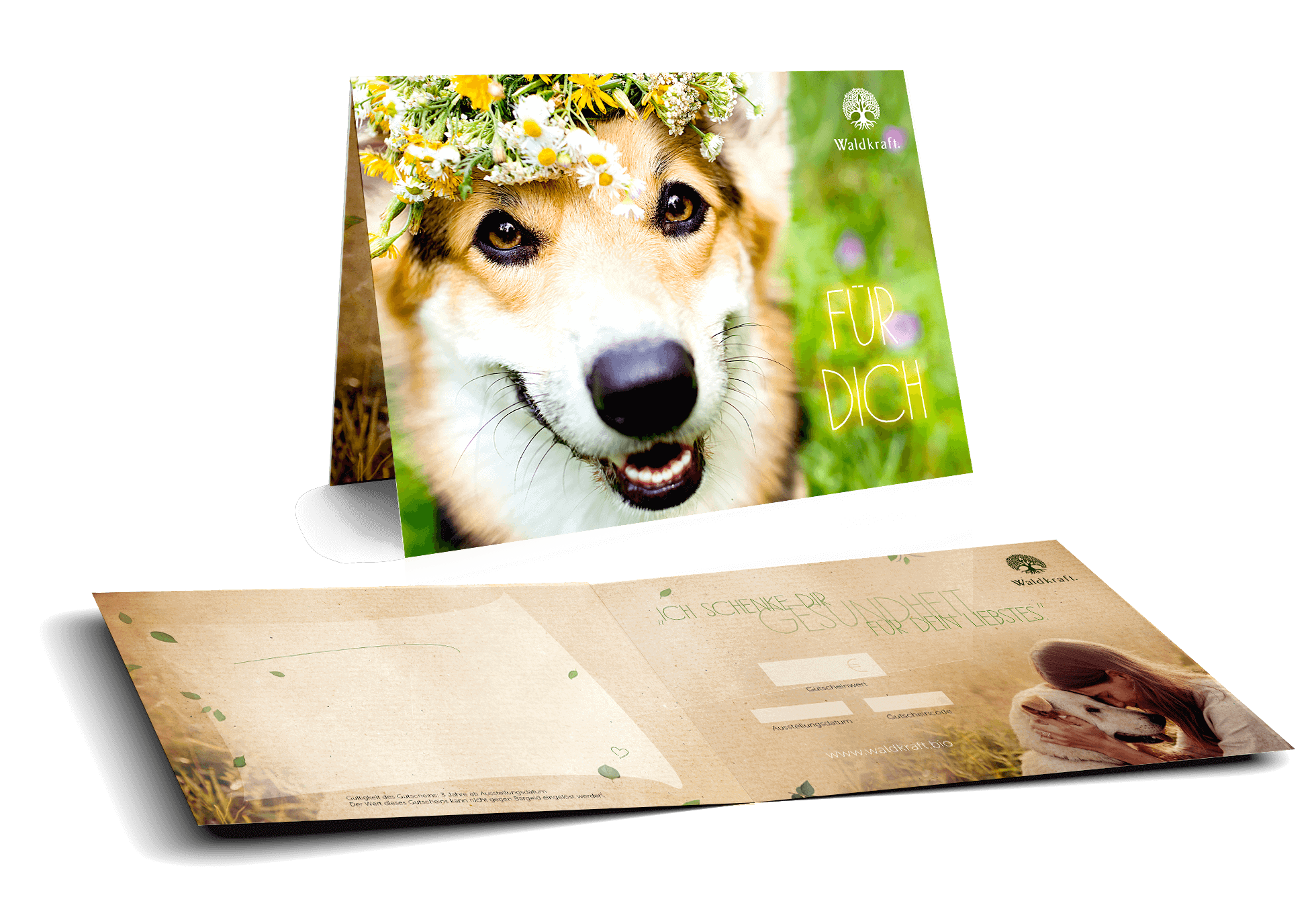 Der besondere Geschenkgutschein 40 € Weihnacht Hund unter Schneeflocken (Für Dich)