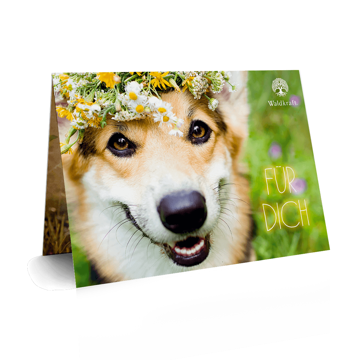 Der besondere Geschenkgutschein 10 € Frühling & Sommer: Blumenkranz